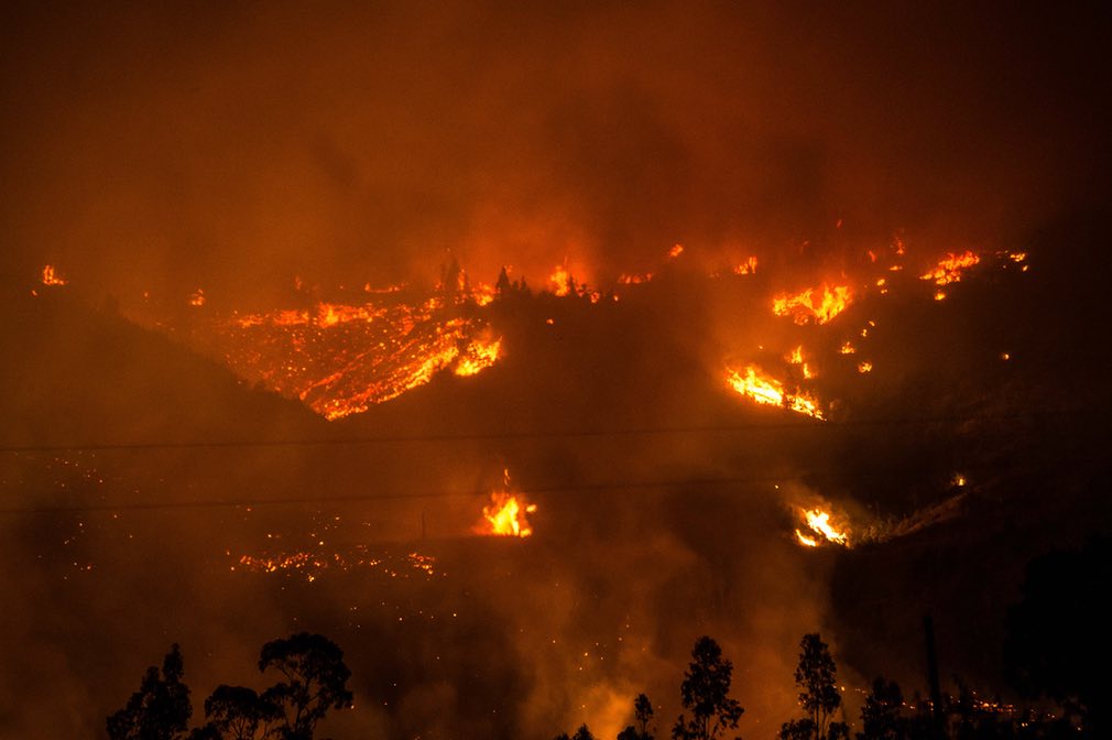 שריפת היער החמורה ביותר בתולדות צ'ילה והשפיעה על מחירה של עיסת המוך